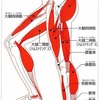 義母から知る筋肉の衰えからの寝たきり