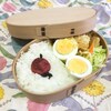 ゆで卵弁当