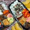 今日の弁当と鶏むね生活