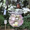 酢納豆の信者になる
