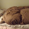 猫さんにベッドを占領されました