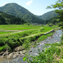 のぼ太郎の移住生活ブログ