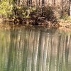 いいお天気で気持ち良いのだけれど