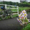 久々なジテツウ😃💦雨上がりの宇都宮