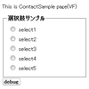 visualforceで選択肢を自作