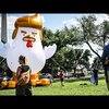 Giant Trump-Like Chicken Is Taunting The White House Right Now