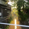 とおい昔の出来事と、不幸中の幸いだったこと
