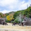 仕事前に低山ウォーキング 2023.12.13