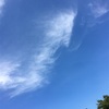 今日の空