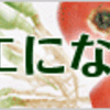 福島復興イベント「桃を食べて応援！観て応援！東京編」に参加して学んだ3つのこと