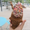 たい焼きxアイスクリーム ニューヨーク生まれのTaiyaki NYC