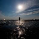 ほしとりぶろぐ