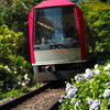 7月の箱根登山鉄道沿線散策。