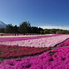 春の山梨長野ドライブ（富士芝桜～本栖湖～花の都公園～八ヶ岳～八子ヶ峰）