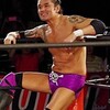プロレスのおしらせ