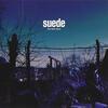 The Blue Hour/Suede（2018）今日のDMM月額レンタル日記。#142