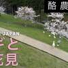 春休み  桜 【酪農の里（ヤギ)もお花見？】空撮　ドローン男子