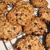 オートミールとチョコレートのクッキー