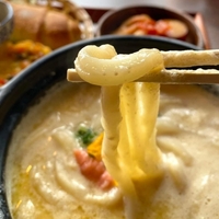 【DAIGOも台所】キャベツとベーコンのチーズうどんのレシピ！山本ゆり【8月8日】