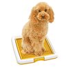 犬用トイレ「JNCDF」正直レビュー！おしゃれで掃除も楽々？小型犬との相性を徹底検証