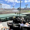 甲子園球場へやって来た