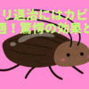ゴキブリ退治にはカビキラーが最適！驚愕の効果とは？