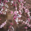 突発性難聴の後遺症には慣れるしかない？時間が経つことで変わることもあります