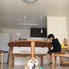 新築のマイホームから県営住宅へ