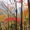 大山北尾根から大山登山！紅葉のミズヒノ頭～阿夫利神社下社～大山寺(後編) 