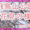 【お花見2022】飛鳥山公園＠北区