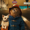 映画「パディントン」感想～クマに癒される～