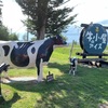 【北海道ドライブ】牛小屋のアイスで3種盛り！夏にぴったりの癒しスイーツスポット♪