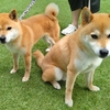 晴天の霹靂みたいな