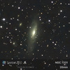 星見娘で電視観望5116(C30/NGC7331 with SN 2025rbs in Peg)