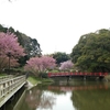 亀山公園