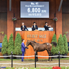 【2018年度サラブレッド1歳市場(Yearling)市場取引成績】-ロードカナロア編