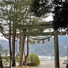 4月入ってようやく一息。桜を探しに。