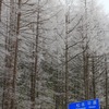 飛騨の山間部は雪景色でした！【平湯峠】