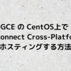 GCE の CentOS上で CData Connect Cross-Platform 版をホスティングする方法