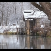 安曇野　【雪景色】　【白　鳥】　　