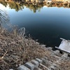 今週の釣果報告🎣栃木県宇都宮市某池