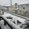 熊本でも大雪