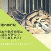 【子連れ旅行記】熊本市動植物園は入場料が激安で1日中楽しめる！|子どもが喜ぶポイントをレビュー！