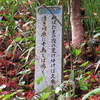 万葉歌碑を訪ねて（その２０１０～２０１２）―高知県大豊町粟生　土佐豊永万葉植物園（１６～１８）―万葉集　巻六　九二五、巻六　一〇〇九、巻六　一〇四六