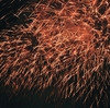 ＊フィルム作例＊HARMAN Phoenix 200