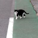 勺の記録