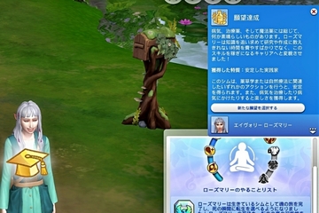Enchanted by Nature（38）