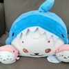 あざらし　しろたん　海の生き物シリーズ