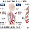 「長生き呼吸」