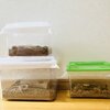 【我が家の事件簿】見知らぬ、虫籠